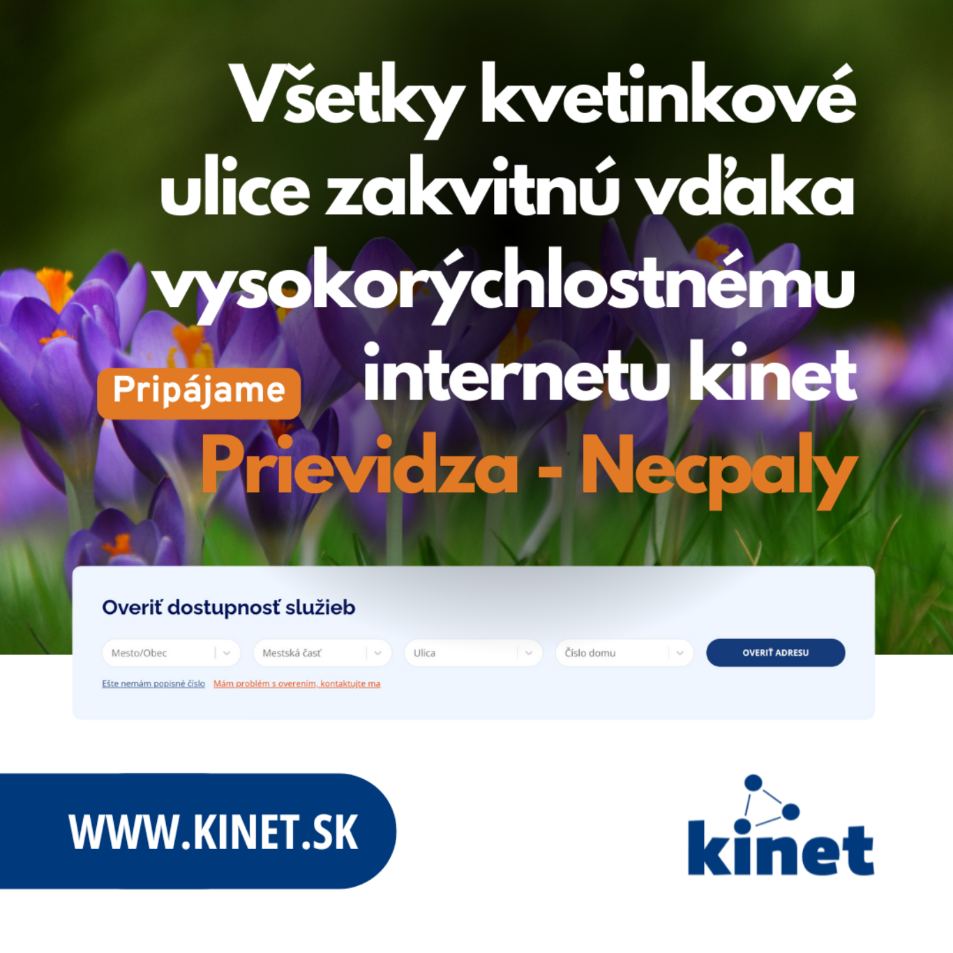 necpaly PD kinet internet